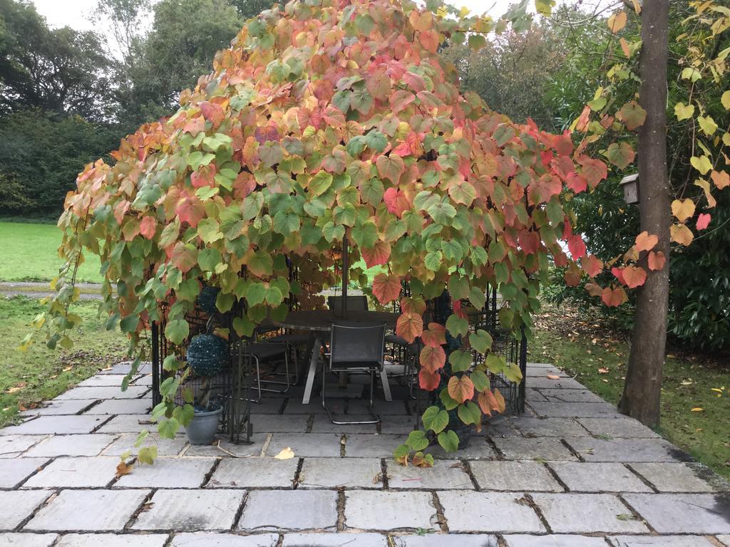 Homestead B&B Бърджис Хил Екстериор снимка